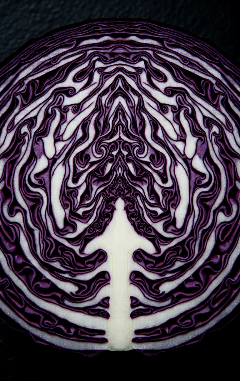 Fractalul natural al verzei mov